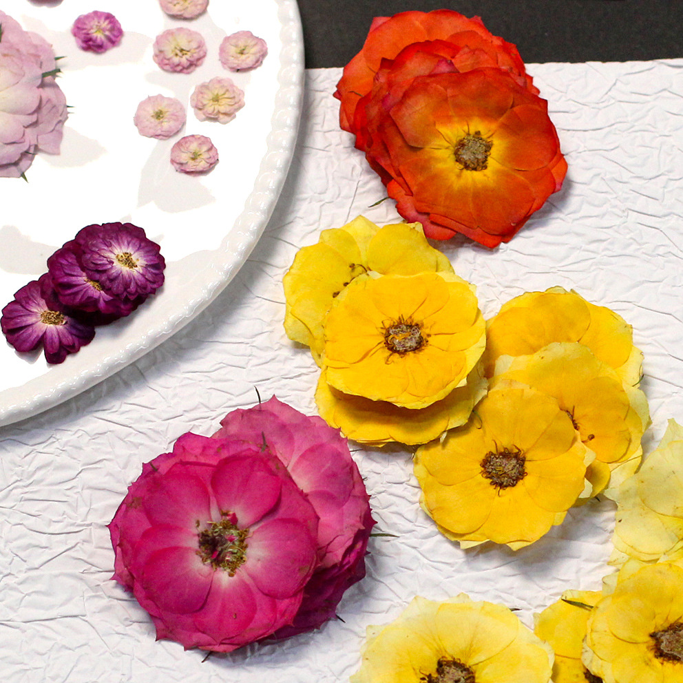 Home Decor Yellow - 48 Yellow Mixed-Size Pressed Real Roses