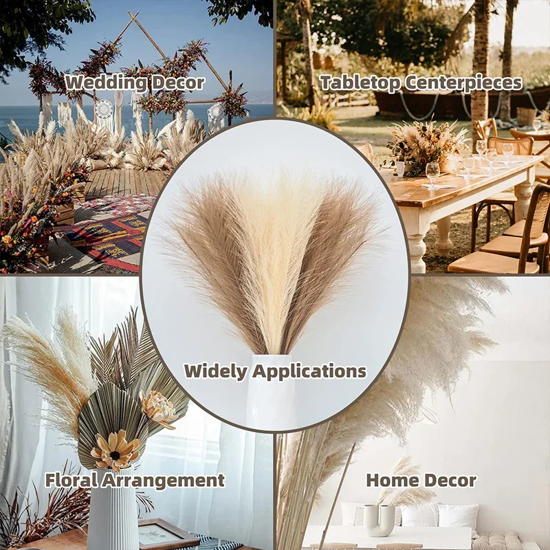 5/10pcs Fluffy Pampas Grass Bo – Pampas Grass Decor Bewertung und Preis