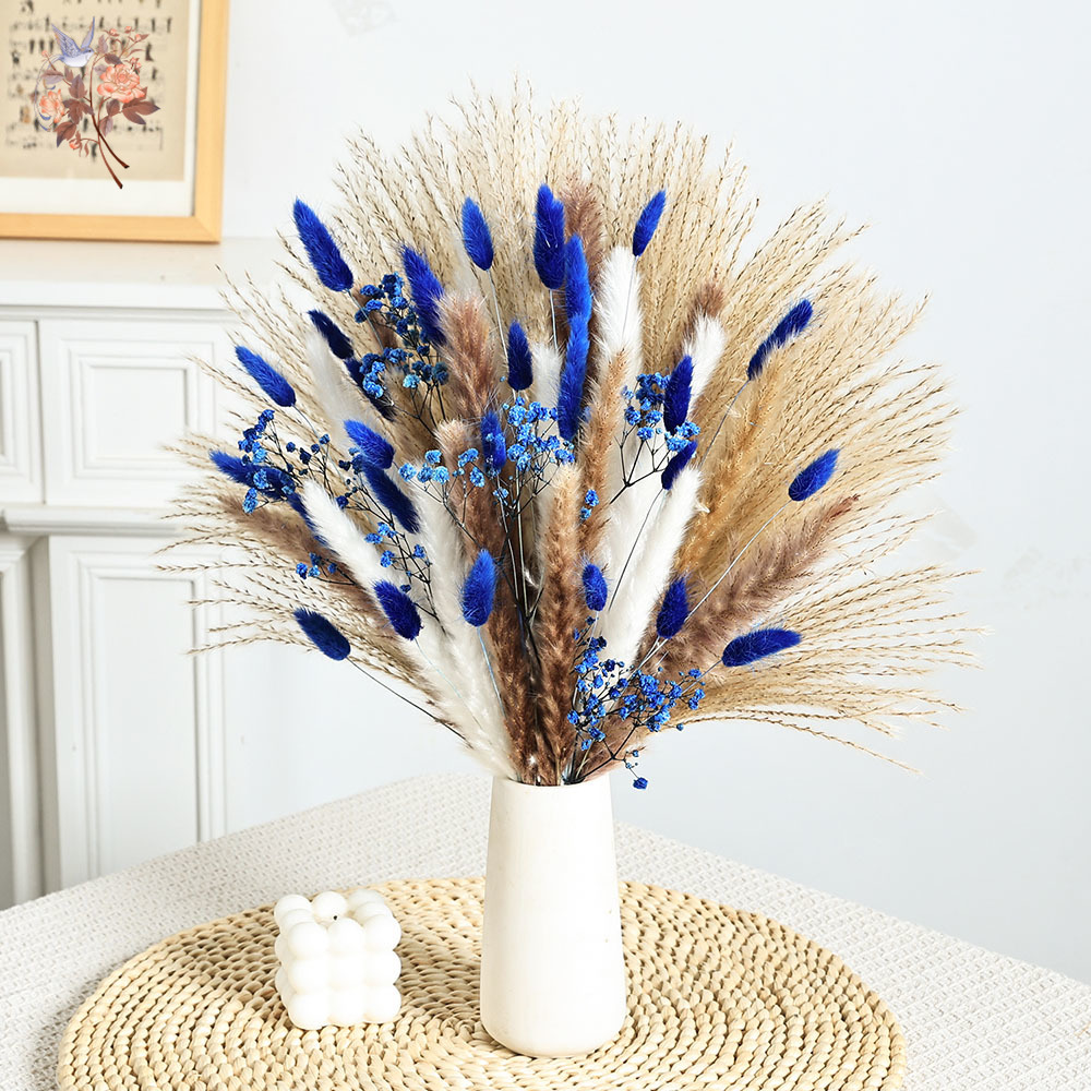 70 Stem Blue Fluffly Rabbit Ta – Pampas Grass Decor Bewertung und Preis