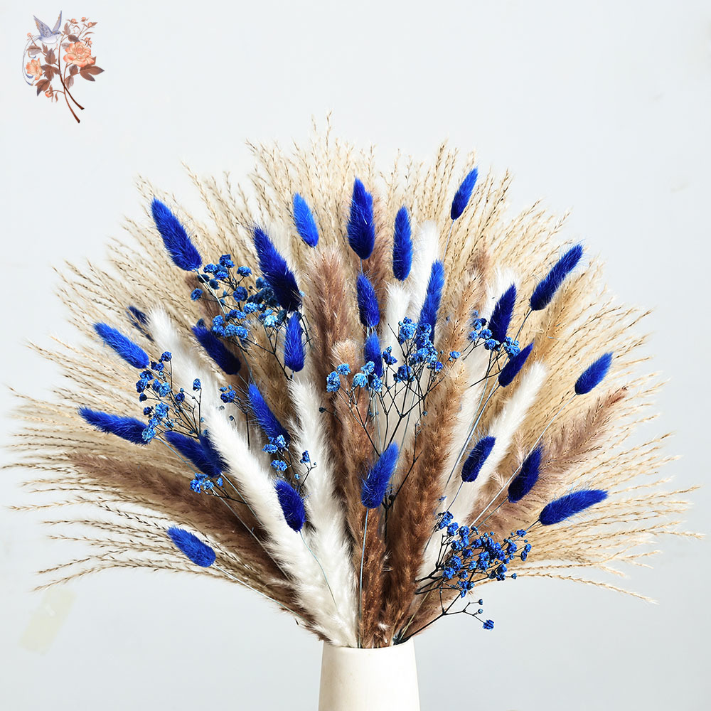 70 Stem Blue Fluffly Rabbit Ta – Pampas Grass Decor Bewertung und Preis