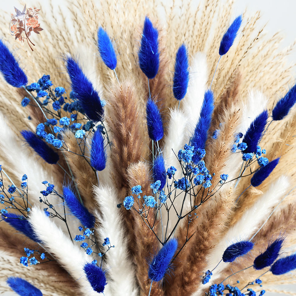 70 Stem Blue Fluffly Rabbit Ta – Pampas Grass Decor Bewertung und Preis