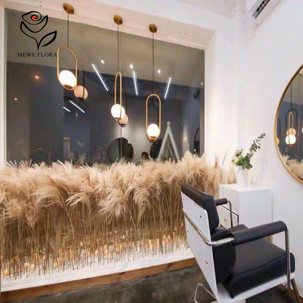 200PCS Natural Dried Fluffy Re – Pampas Grass Decor Bewertung und Preis