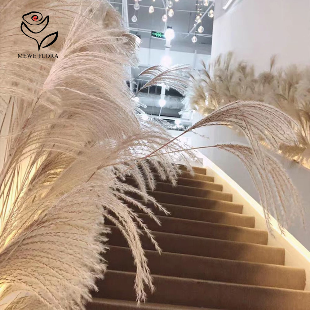 200PCS Natural Dried Fluffy Re – Pampas Grass Decor Bewertung und Preis