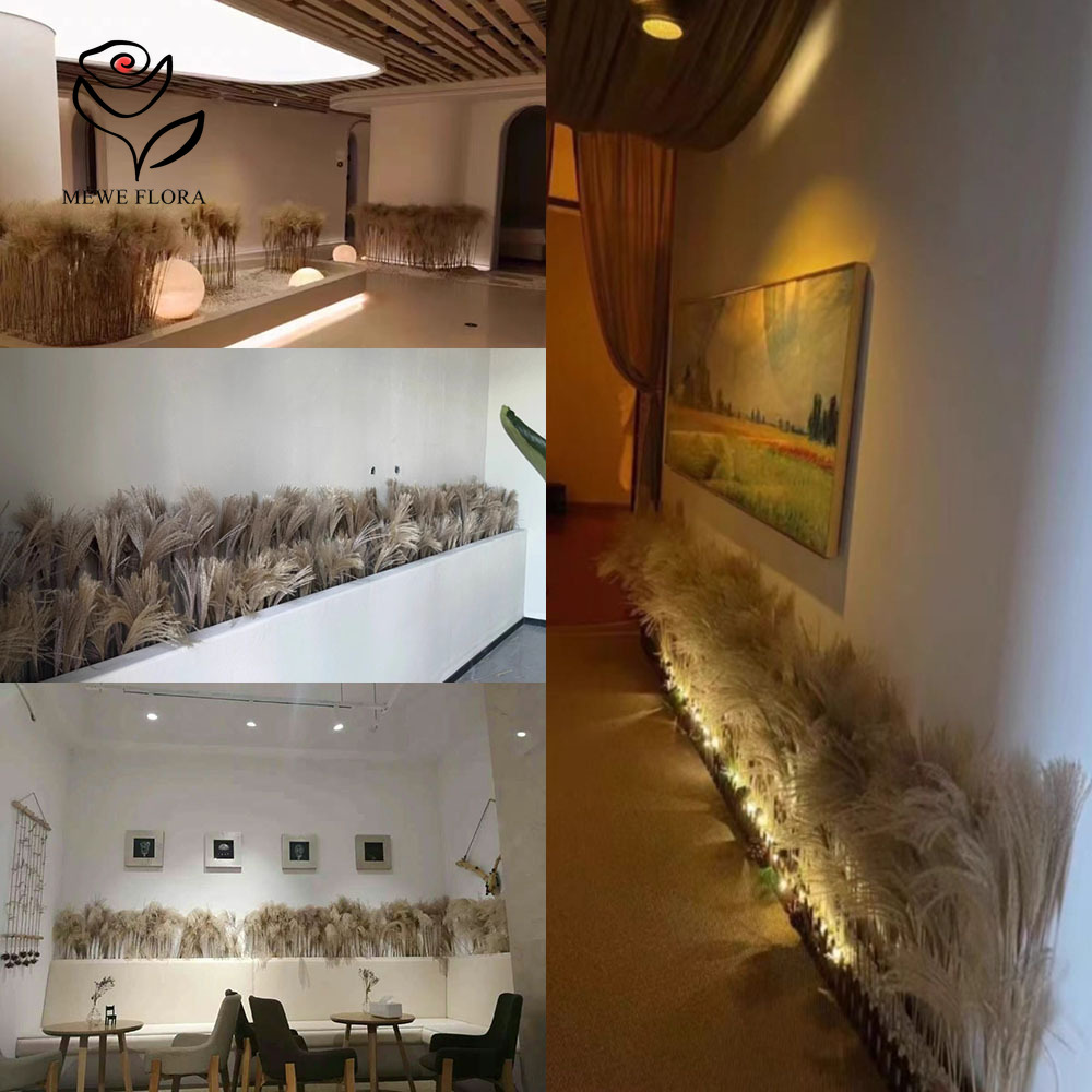 200PCS Natural Dried Fluffy Re – Pampas Grass Decor Bewertung und Preis