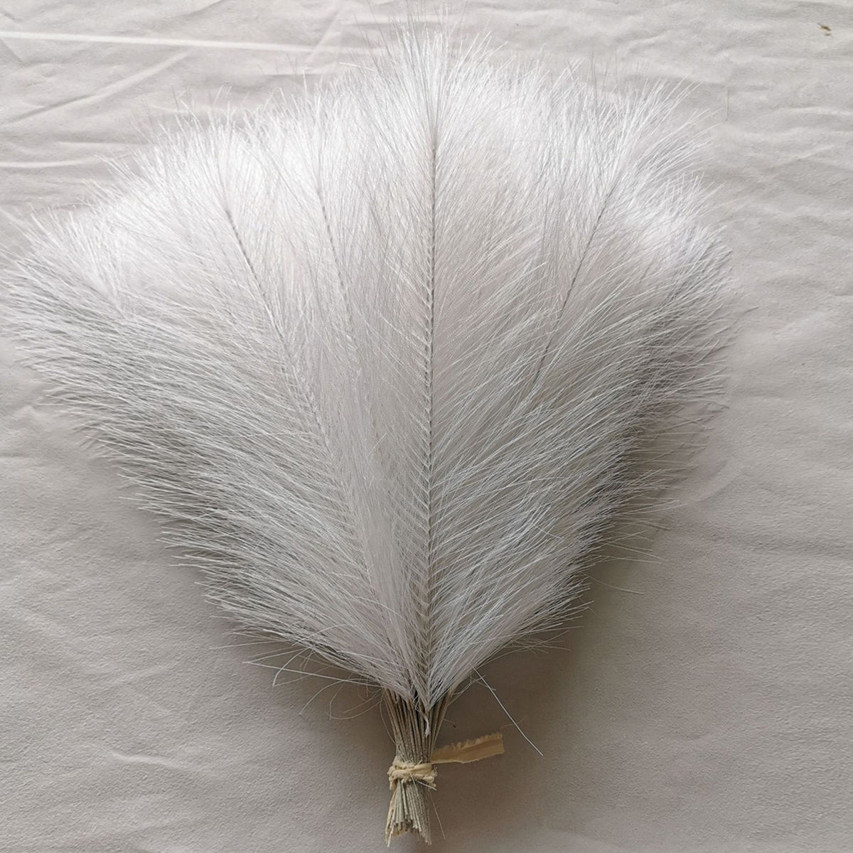10/20Pc Pampas Grass Reed Arti – Pampas Grass Decor Bewertung und Preis