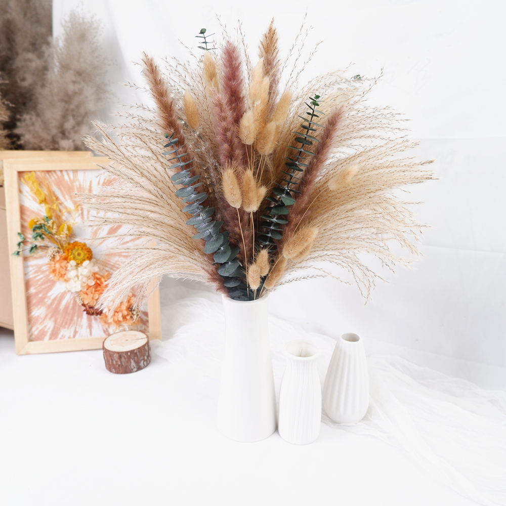60-Piece Dried Flower & Pampas – Pampas Grass Decor Bewertung und Preis
