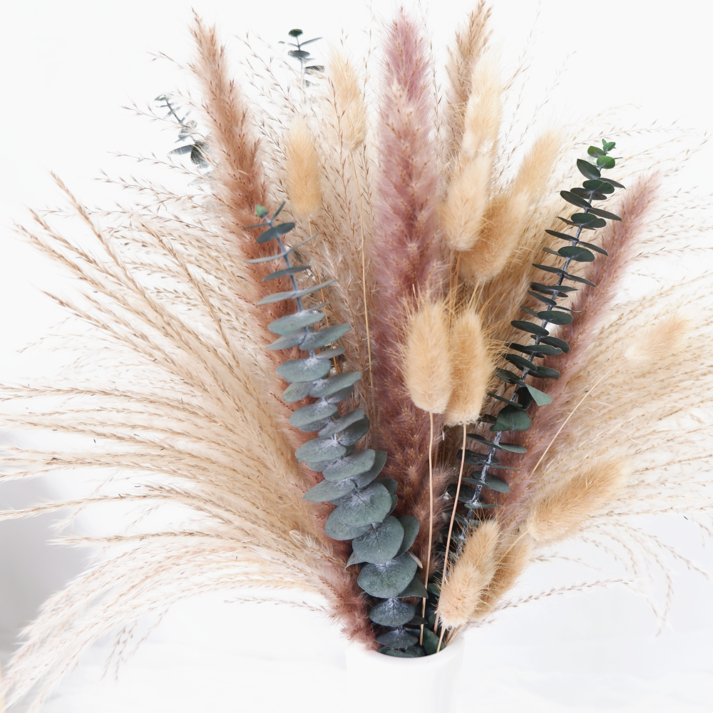 60-Piece Dried Flower & Pampas – Pampas Grass Decor Bewertung und Preis