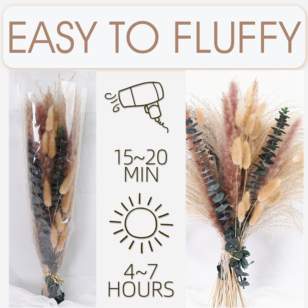 60-Piece Dried Flower & Pampas – Pampas Grass Decor Bewertung und Preis