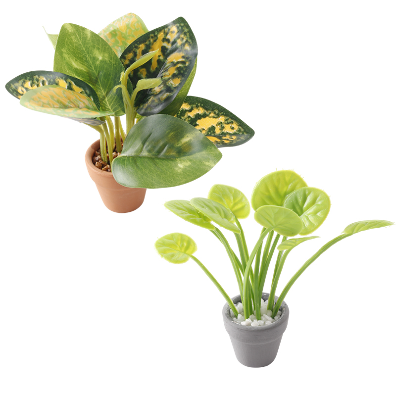 1/12 Dollhouse Miniature Plant – Home Decor Garden Bewertung und Preis