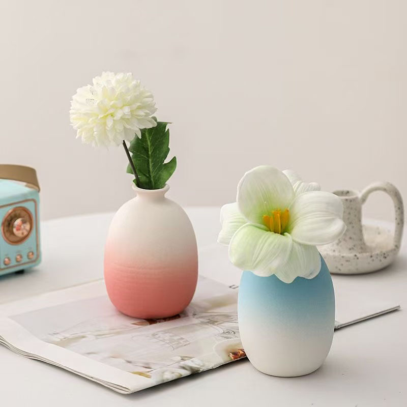 Nordic Style Ceramic Vase Mode – Pampas Grass Decor Bewertung und Preis