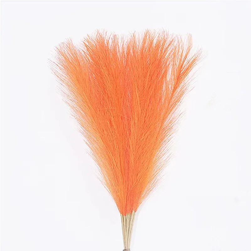 55CM Pampas Grass Nordic Boho  – Pampas Grass Decor Bewertung und Preis