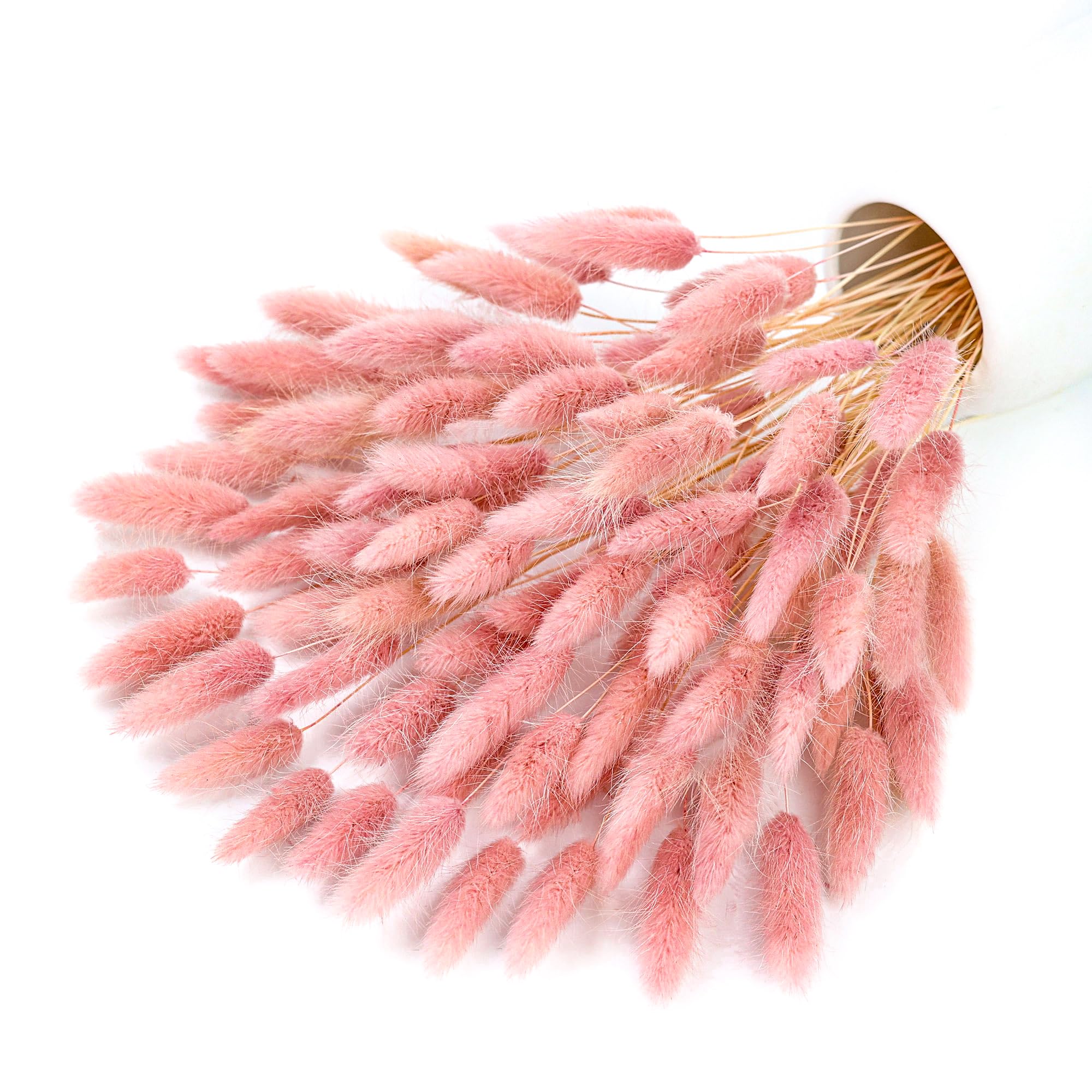 120 Stem Pink Dried Pampas Bun – Pampas Grass Decor Bewertung und Preis
