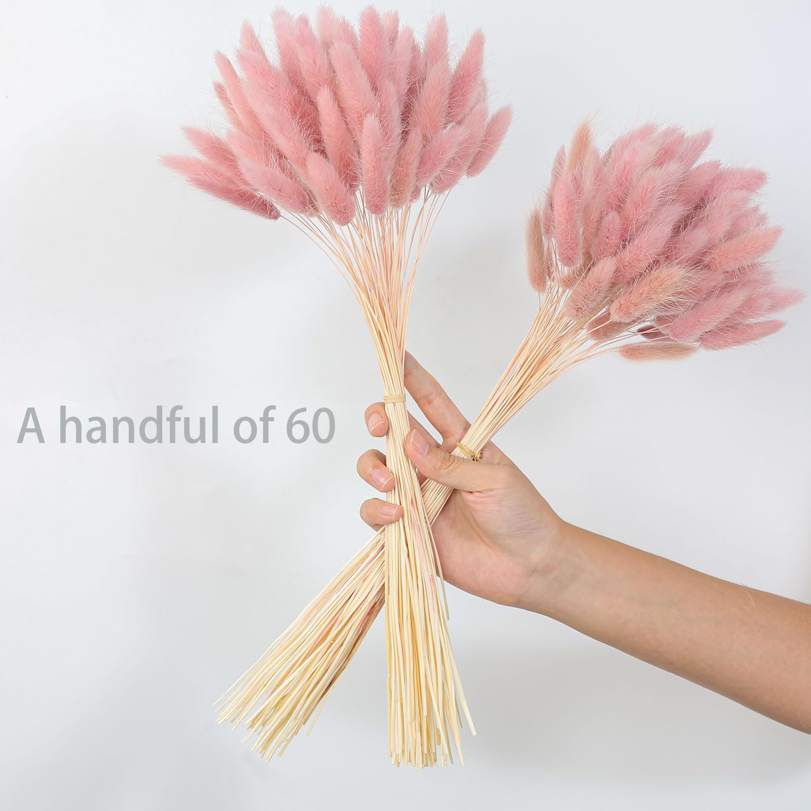 120 Stem Pink Dried Pampas Bun – Pampas Grass Decor Bewertung und Preis