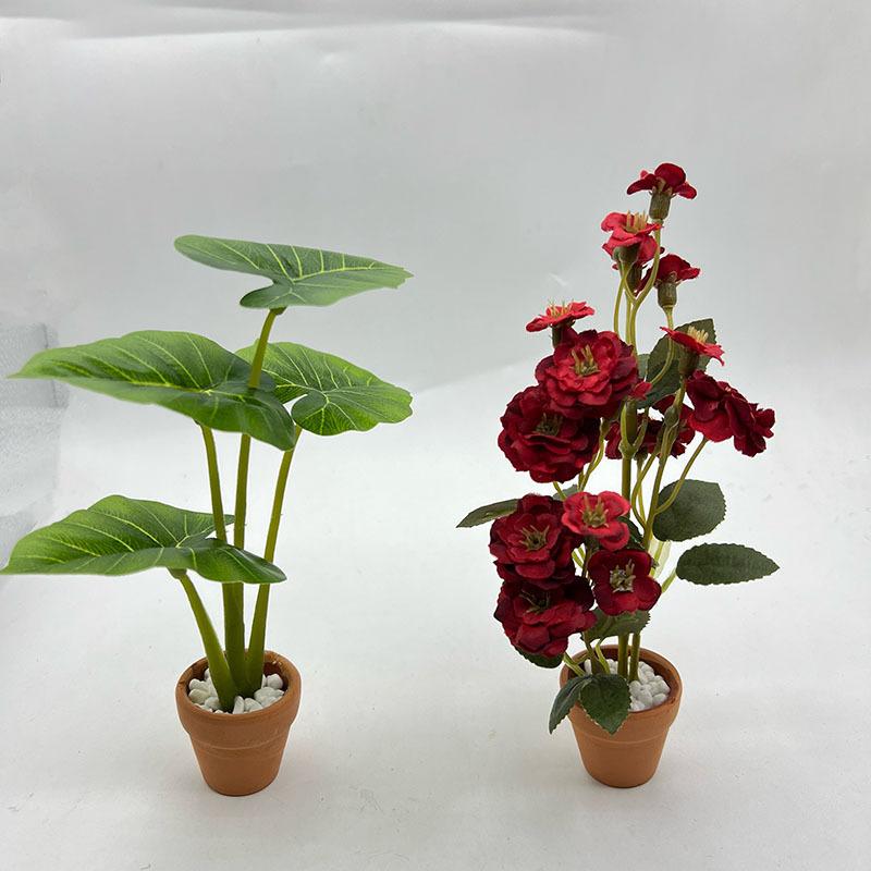 1Pcs Dollhouse Philodendron Mi – Home Decor Garden Bewertung und Preis