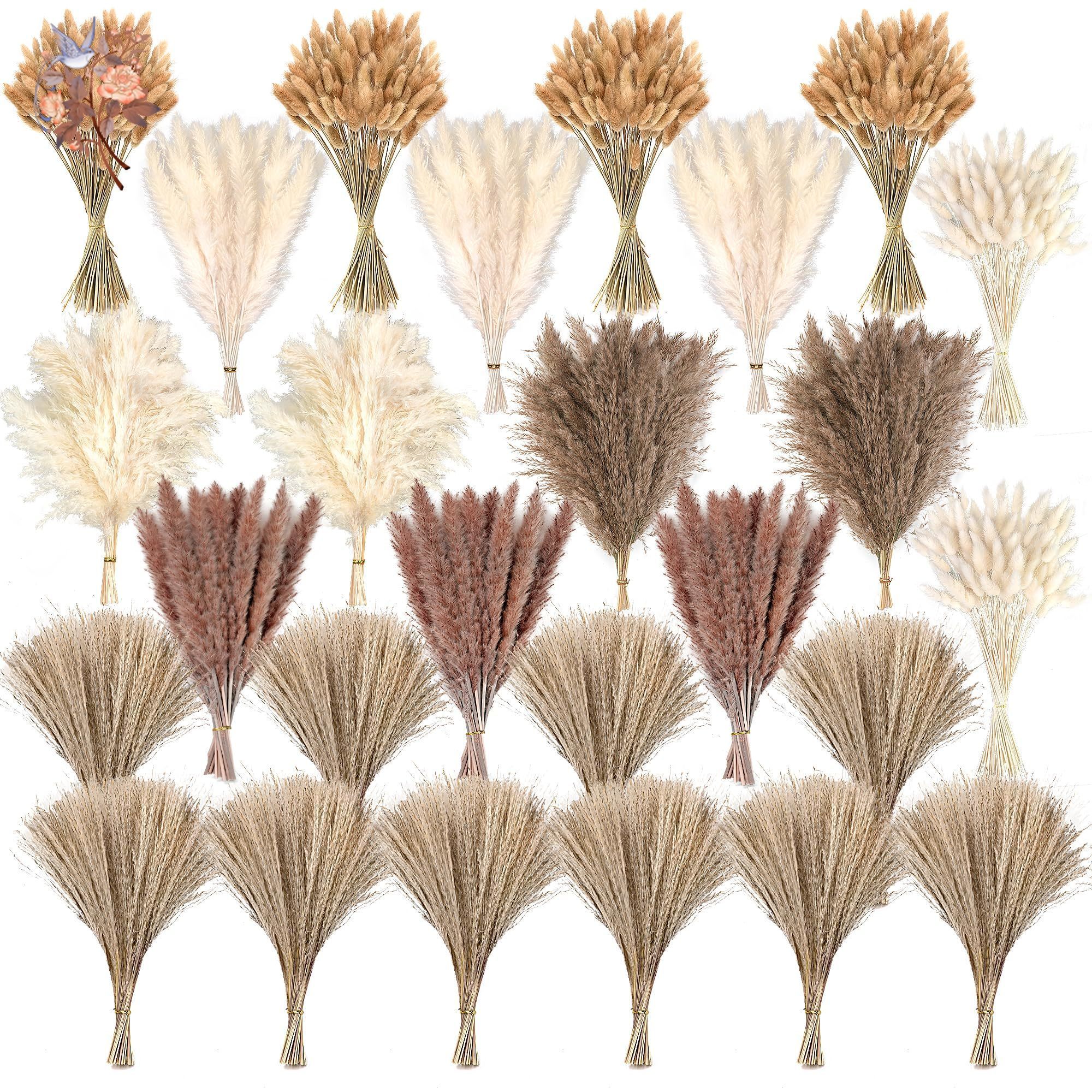 300Pcs Natural Large Pampas Gr – Pampas Grass Decor Bewertung und Preis