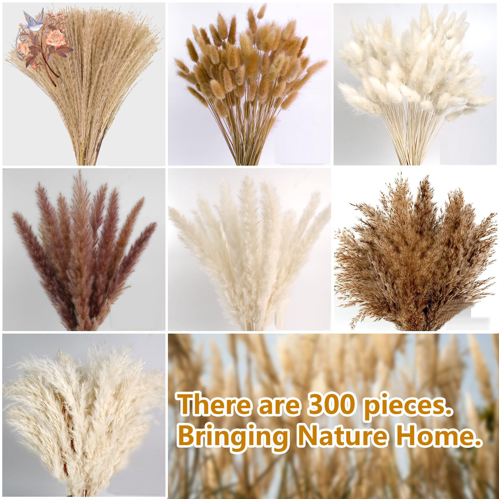 300Pcs Natural Large Pampas Gr – Pampas Grass Decor Bewertung und Preis