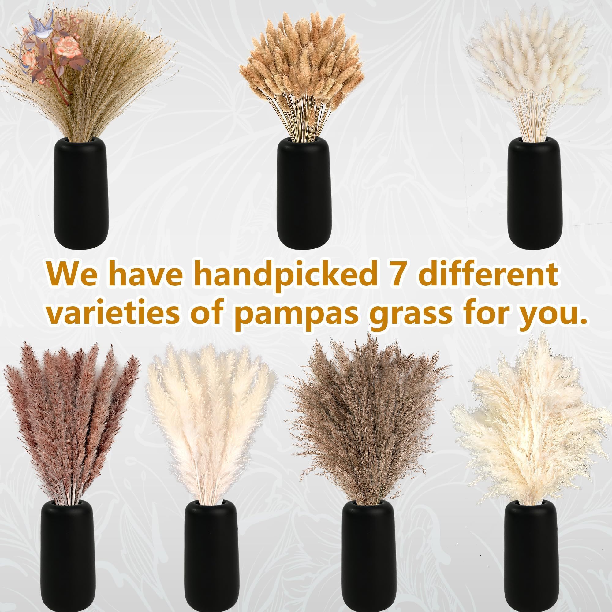 300Pcs Natural Large Pampas Gr – Pampas Grass Decor Bewertung und Preis