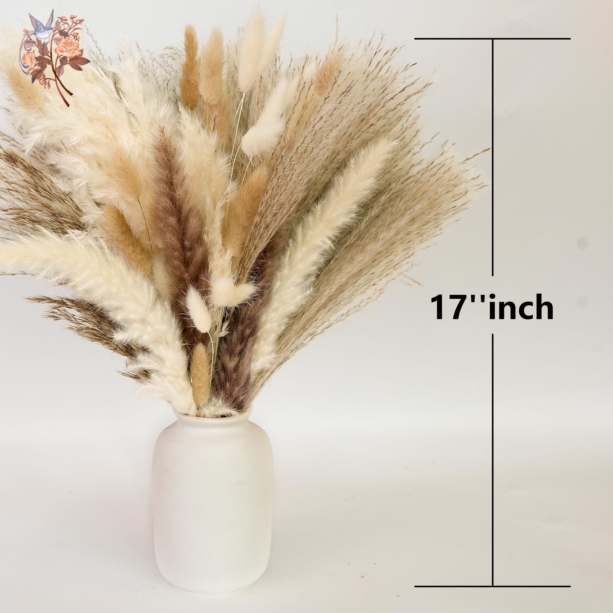 300Pcs Natural Large Pampas Gr – Pampas Grass Decor Bewertung und Preis