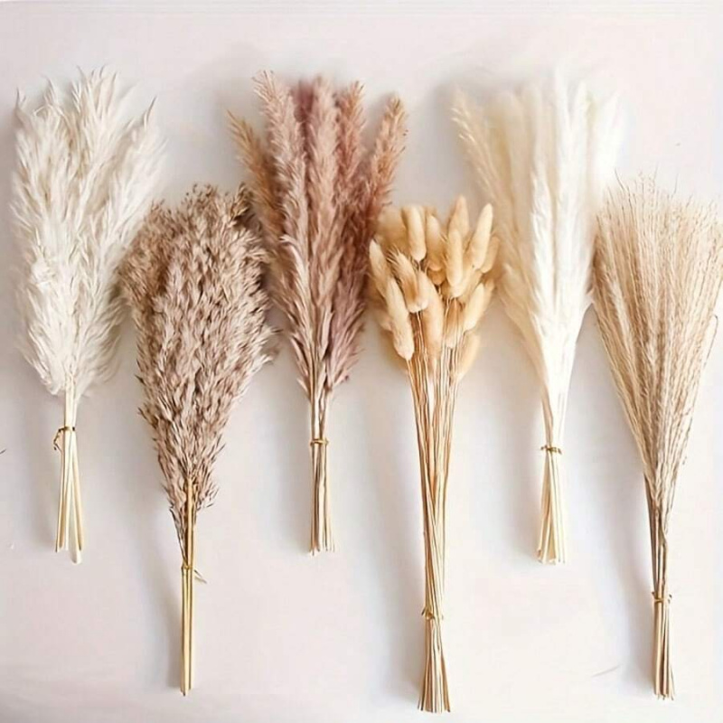 110pcs Dried Pampas Grass Bouq – Pampas Grass Decor Bewertung und Preis