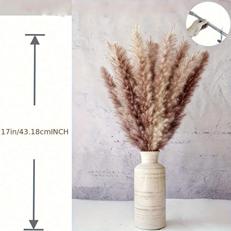 110pcs Dried Pampas Grass Bouq – Pampas Grass Decor Bewertung und Preis