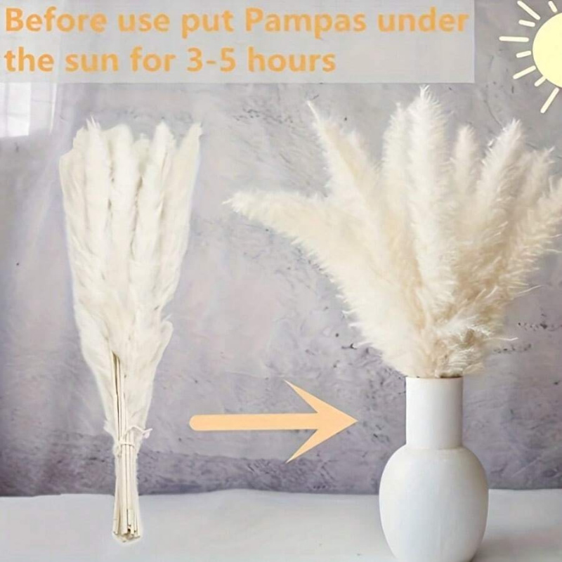 110pcs Dried Pampas Grass Bouq – Pampas Grass Decor Bewertung und Preis