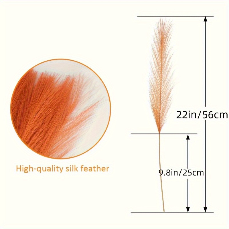 10pcs Vivid Orange Pampas Gras – Pampas Grass Decor Bewertung und Preis